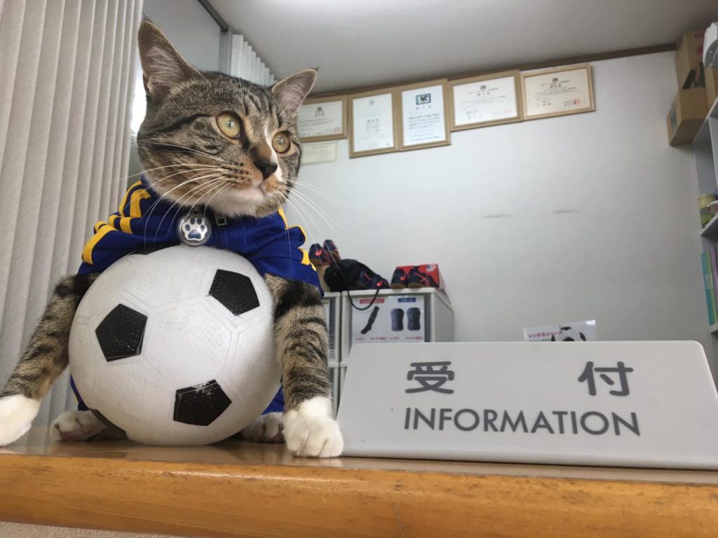 124089661 3456228421123406 1521033806460552909 o 1024x768 - スマイル、たくさん笑顔にさせてくれて、ありがとう！